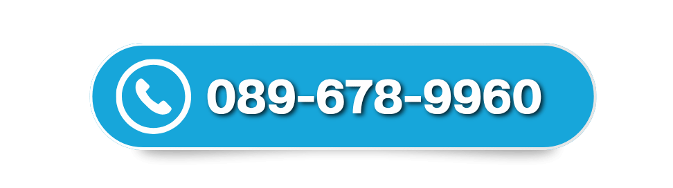 089-678-9960